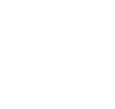 icono-instagram